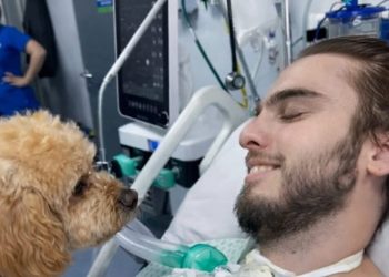 Un año de indiferencia para joven tetrapléjico del Hospital de Iquique