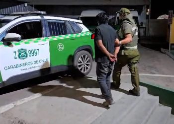 Can detector de drogas de Carabineros delató a pasajero que transportaba drogas