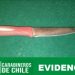 Carabineros detiene a hombre que portaba un arma blanca en la vía pública