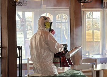SEREMI de Salud detecta cuarto hallazgo de Aedes aegypti en Tarapacá durante 2026