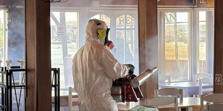 SEREMI de Salud detecta cuarto hallazgo de Aedes aegypti en Tarapacá durante 2026