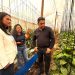 Mujeres profesionales ganan terreno en la producción de hortalizas en Arica y Parinacota