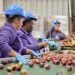 La cruda realidad alimentaria: 8 de cada 10 chilenos cree que las madres sacrifican su propia comida por sus hijos