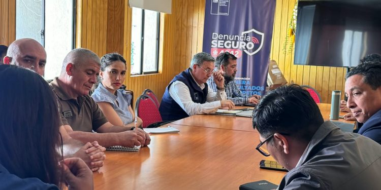 Seremi de Seguridad Pública y municipio de Camiña refuerzan coordinación en el primer consejo comunal bajo la Ley N.º 21.802