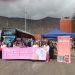 Gobierno en Terreno conmemora el Día Internacional de la Lucha contra el Cáncer de Mama y acerca servicios públicos a la comunidad