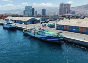 IFOP evalúa el stock desovante de anchoveta en el Norte Grande por intenso evento El Niño