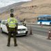 Carabineros de Tarapacá detuvo a 211 infractores por diversos delitos durante la última semana