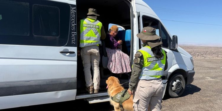 Can detector North permitió detectar 169 ovoides de pasta base de cocaína en Huara