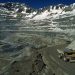 Accidente en División El Teniente de Codelco
